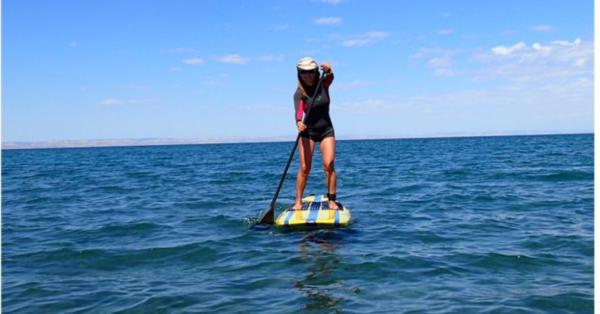 drsusanne-paddleboard