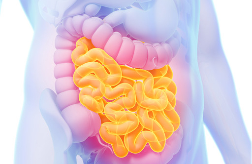 Will Antibiotics Cause Upset Stomach