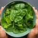 Oxalate Spinach Salad